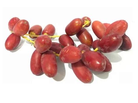 Shop fresh dates fruit for Sale on Shopee Philippines.